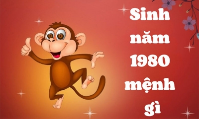 Sinh năm 1980 mệnh gì? Tuổi Canh Thân hợp với màu và tuổi nào?