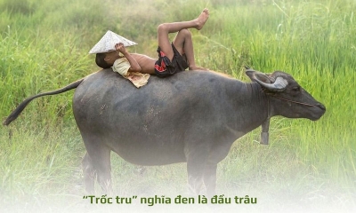 Trốc tru là gì? Giãi nghĩa ngữ pháp Nghệ An cho anh em miền xa