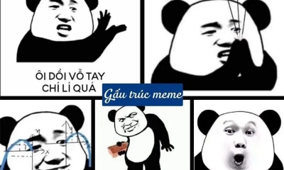 Tải ngay bộ meme Gấu trúc hài hước nổi tiếng siêu bựa, siêu HOT