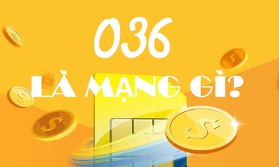 036 là mạng gì? Ý nghĩa SĐT có đầu số 036 trong phong thủy