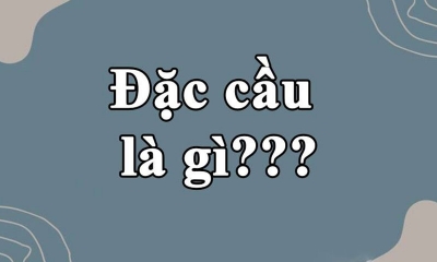 Đặc cầu là gì? Ý nghĩa và nguồn gốc từ đặc cầu trên mạng xã hội