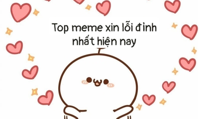 Top meme xin lỗi dễ thương và đáng yêu nhất cho anh em