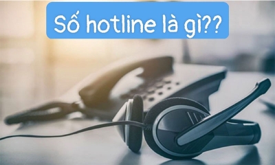 Hotline là gì? Cách chọn số hotline phù hợp với doanh nghiệp