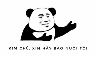 999+ phú bà xin hãy bao nuôi tôi meme hài hước và đáng yêu