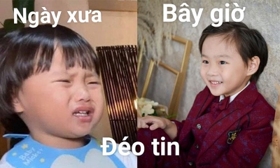 99+ ảnh đéo tin meme anh da đen, chó, mèo ngầu hài hước nhất