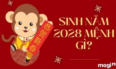 Năm 2028 là mệnh gì, năm con gì? Tính cách và số mệnh