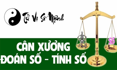 Cân xương tính số là gì? Tìm hiểu ý nghĩa của từng cân lượng