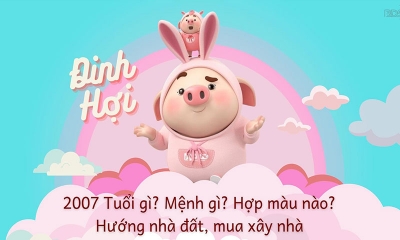 Năm 2007 bao nhiêu tuổi? Sinh năm 2007 là tuổi gì? Mệnh gì?