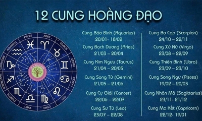 Bật mí tử vi 12 cung hoàng đạo về tình duyên và sự nghiệp